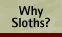 Why Sloths