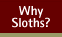 Why Sloths